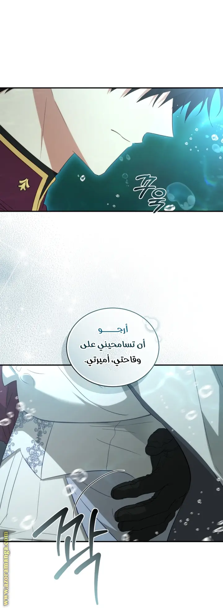 الصفحة 25