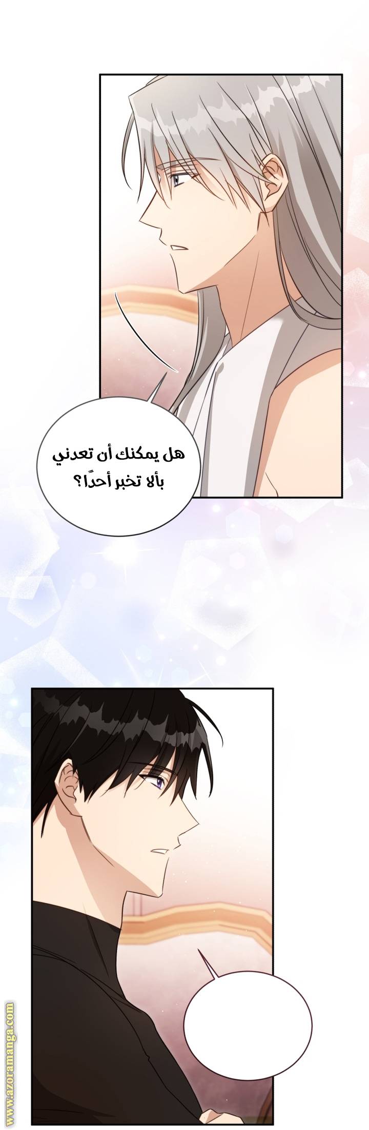الصفحة 17