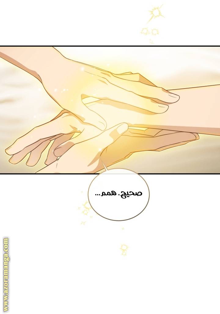 الصفحة 44
