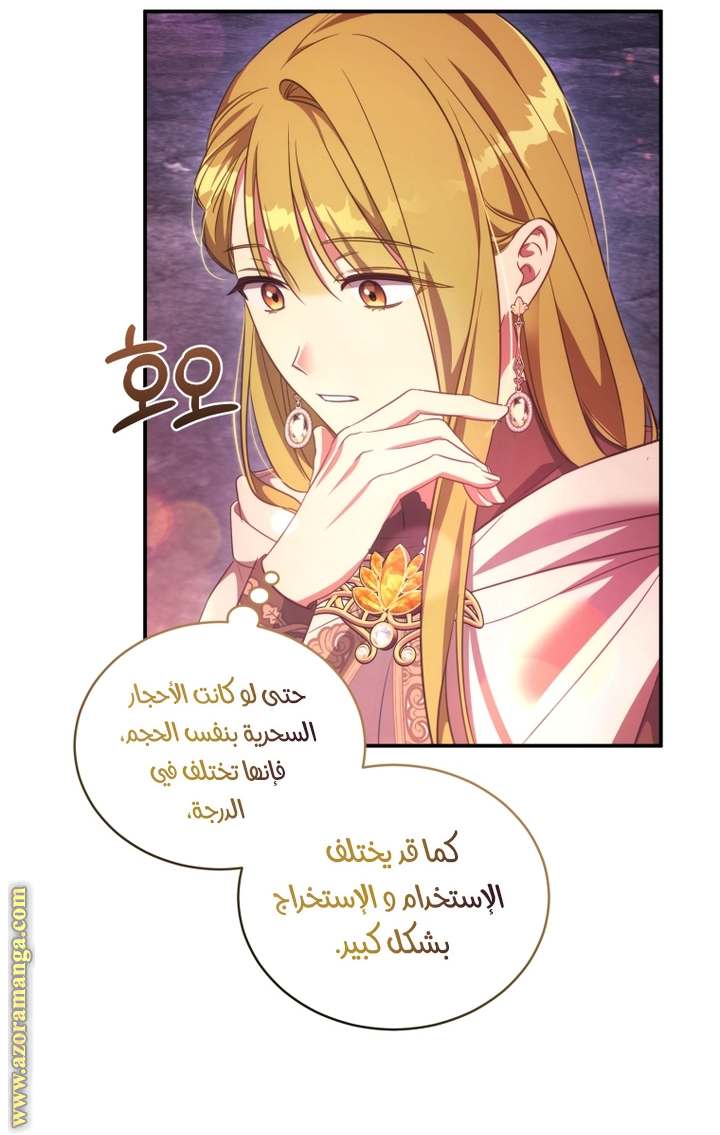 الصفحة 19