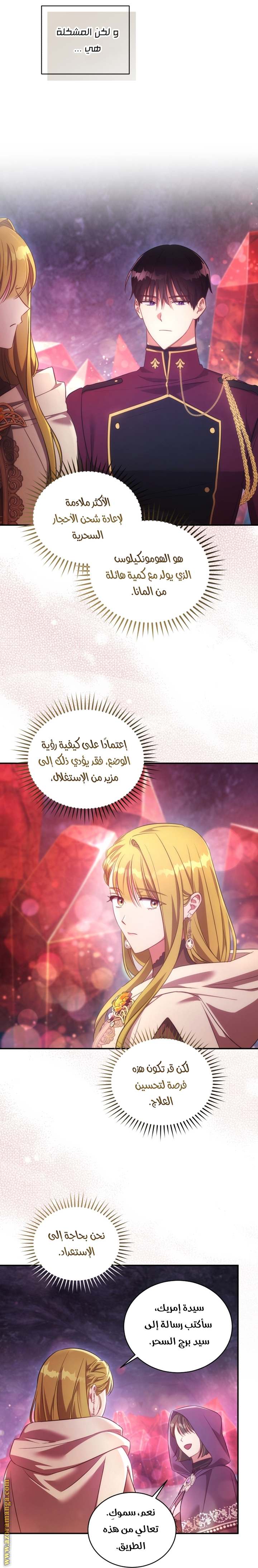 الصفحة 29