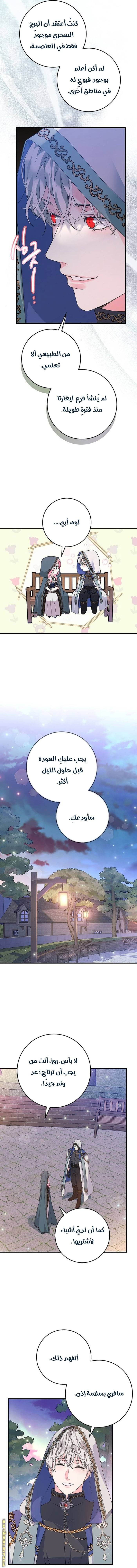 الصفحة 11