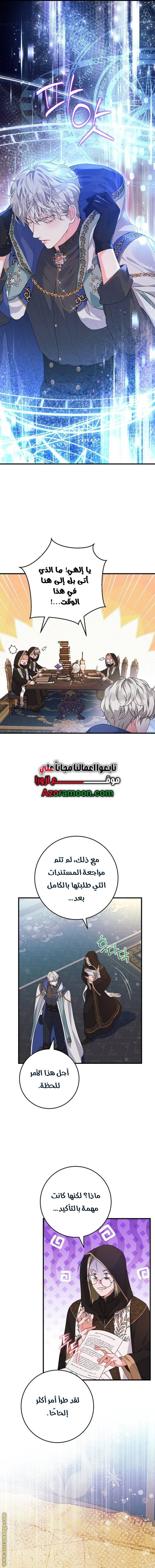 الصفحة 13