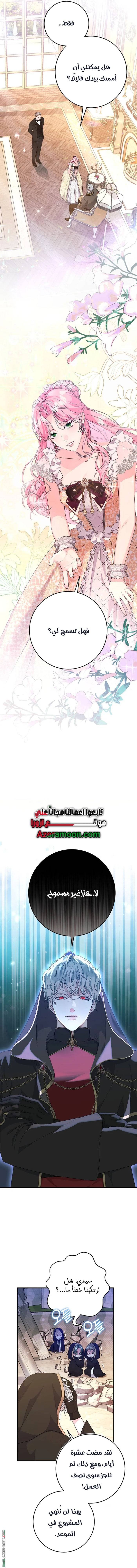 الصفحة 17