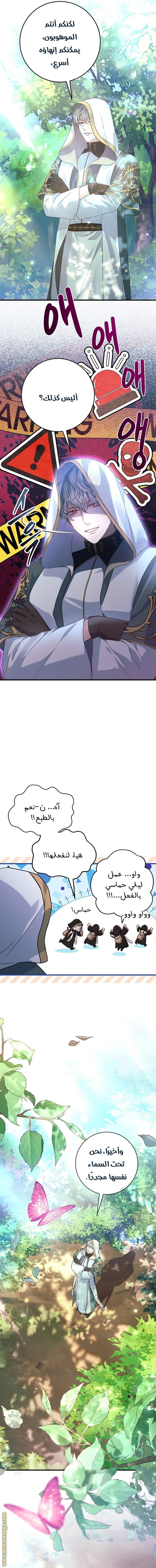 الصفحة 14