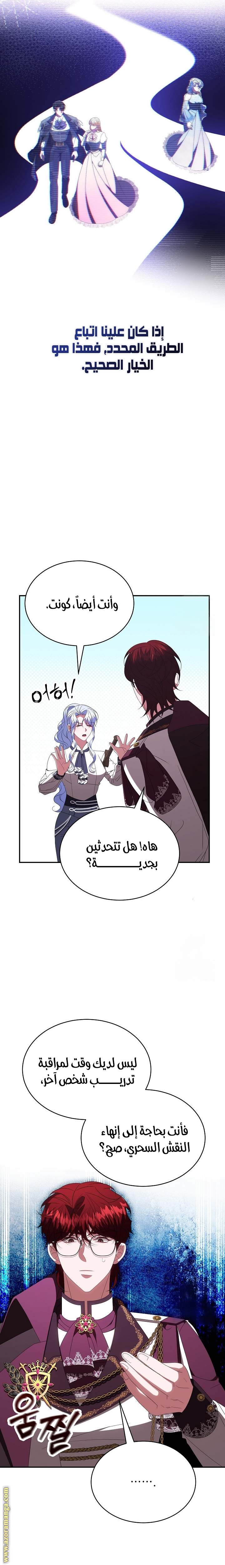 الصفحة 17