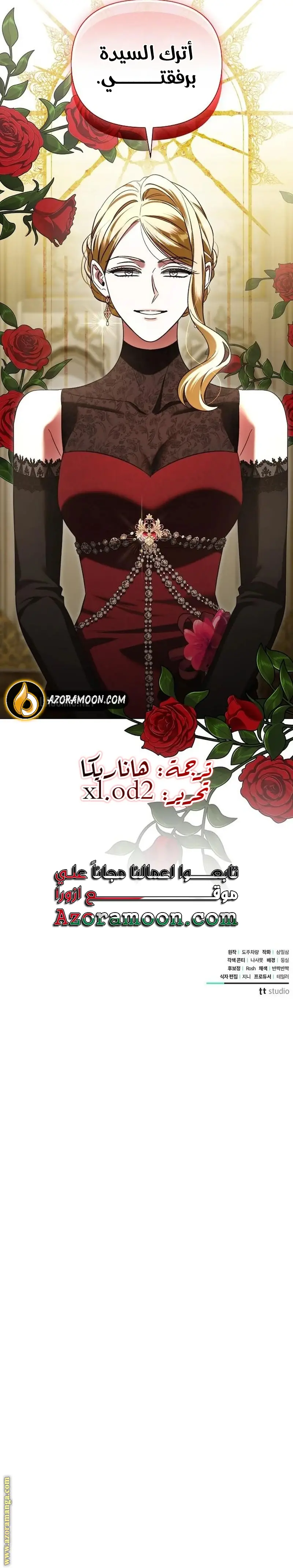 الصفحة 17