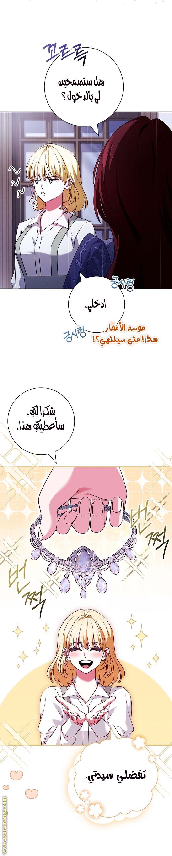 الصفحة 13