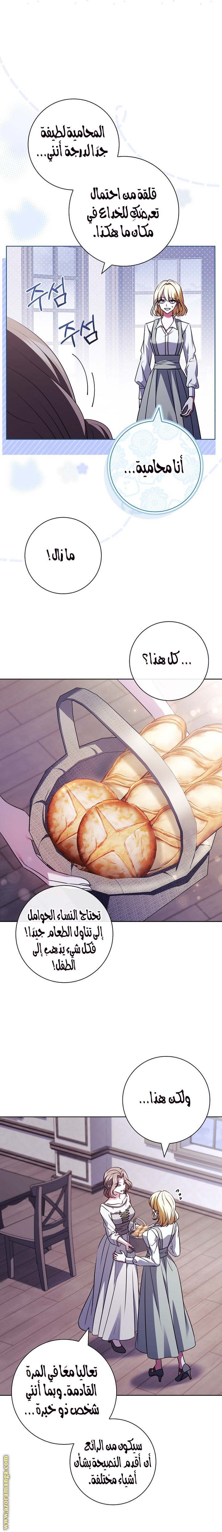 الصفحة 17