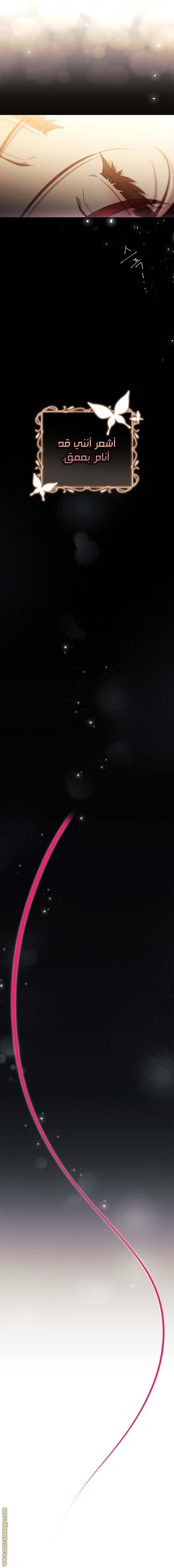 الصفحة 26