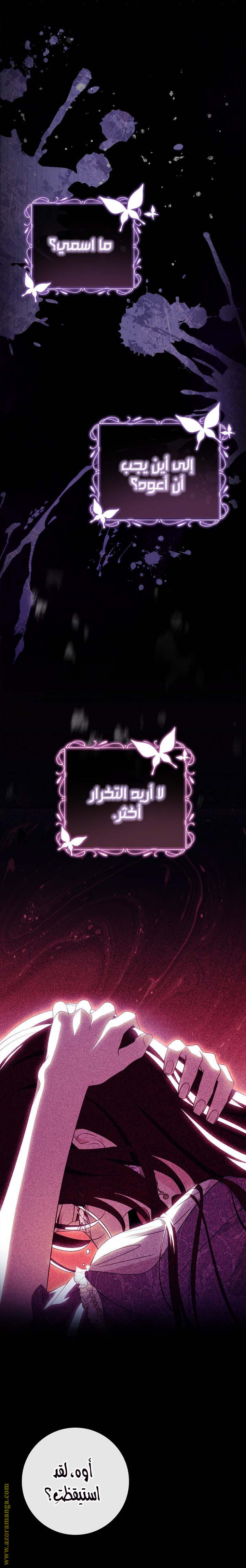 الصفحة 29