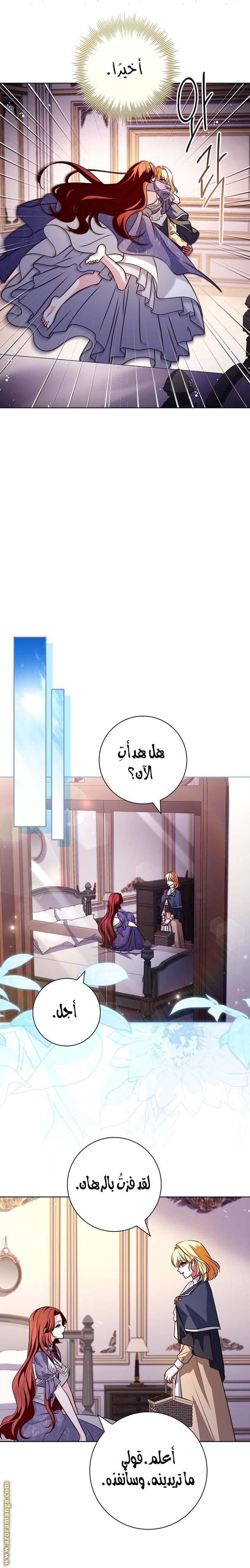 الصفحة 31