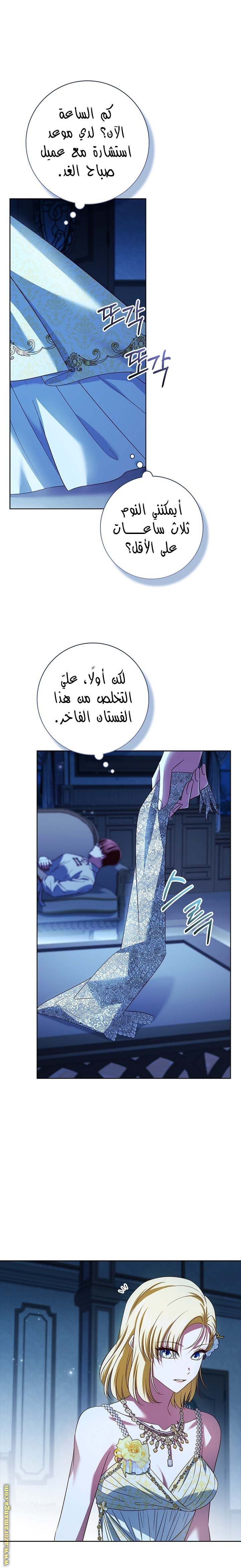 الصفحة 17