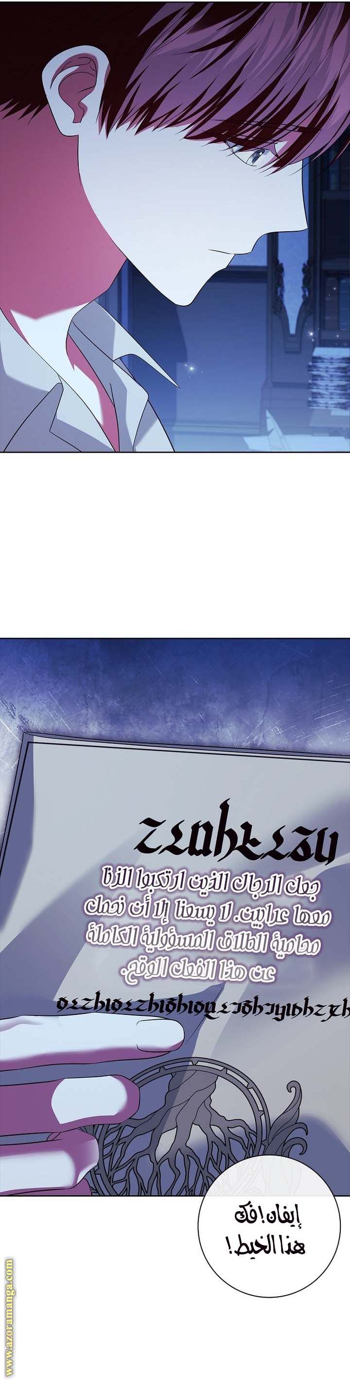 الصفحة 29
