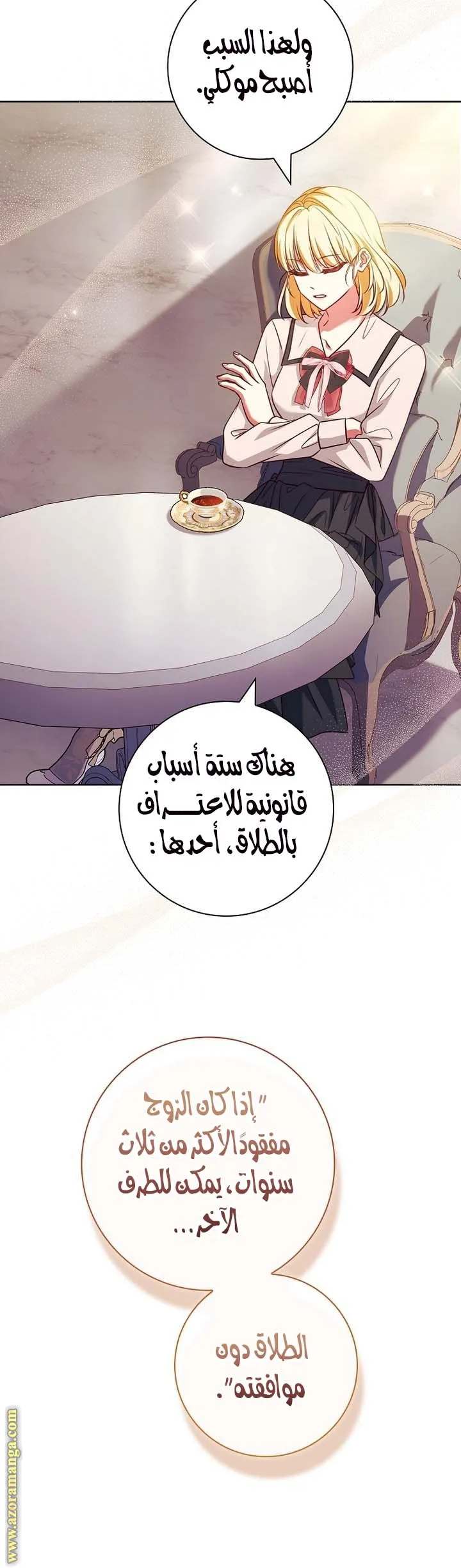 الصفحة 17