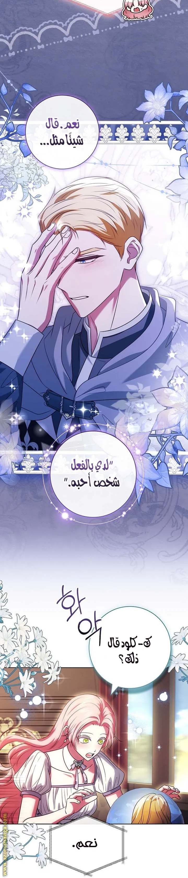 الصفحة 29