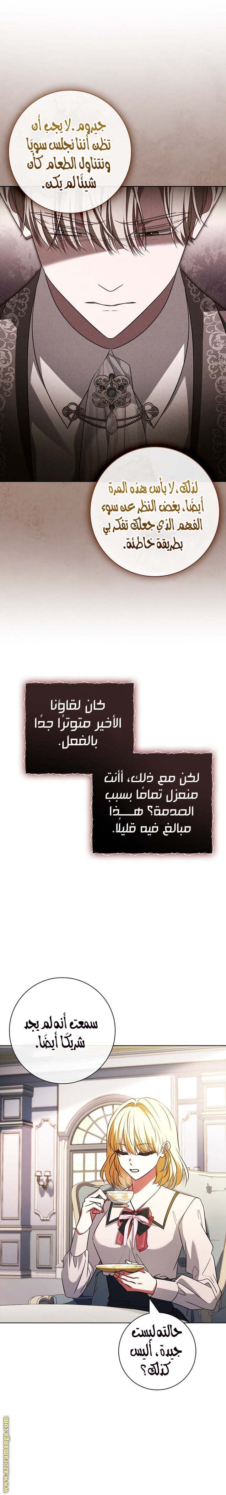 الصفحة 26