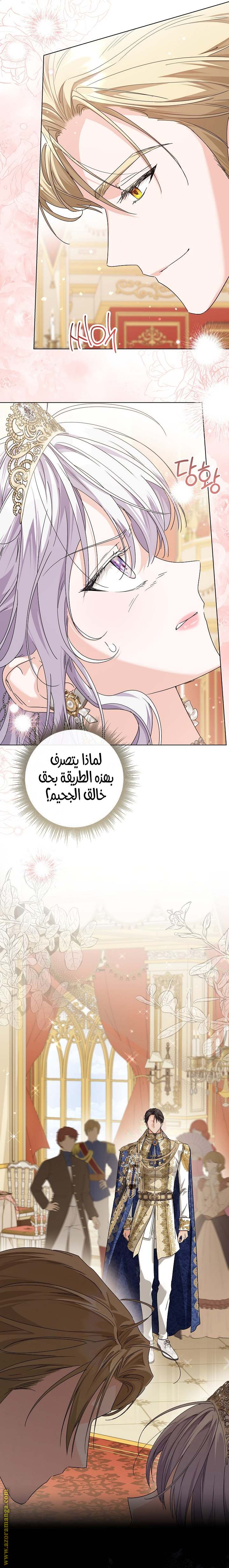الصفحة 25