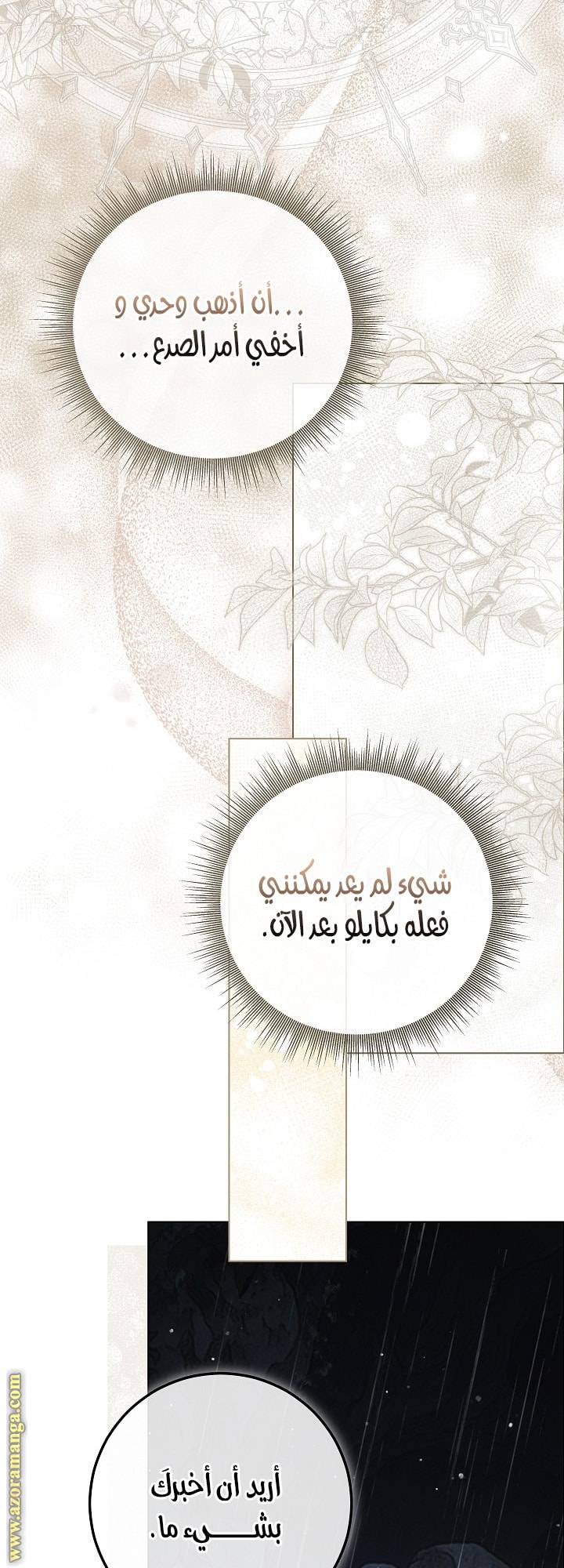 الصفحة 25