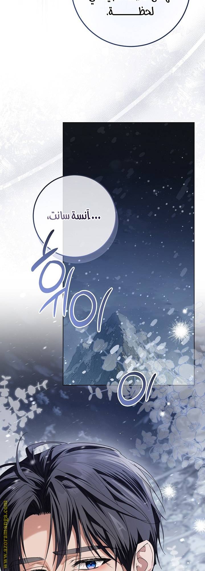 الصفحة 31