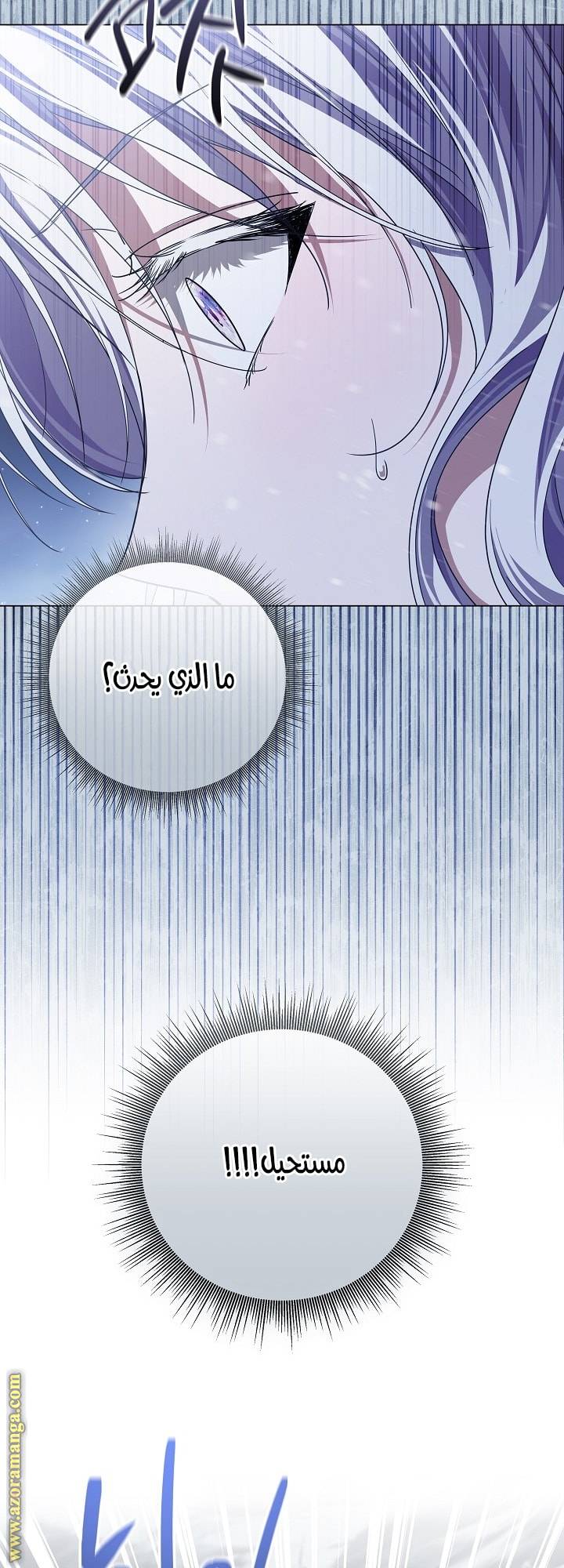 الصفحة 60
