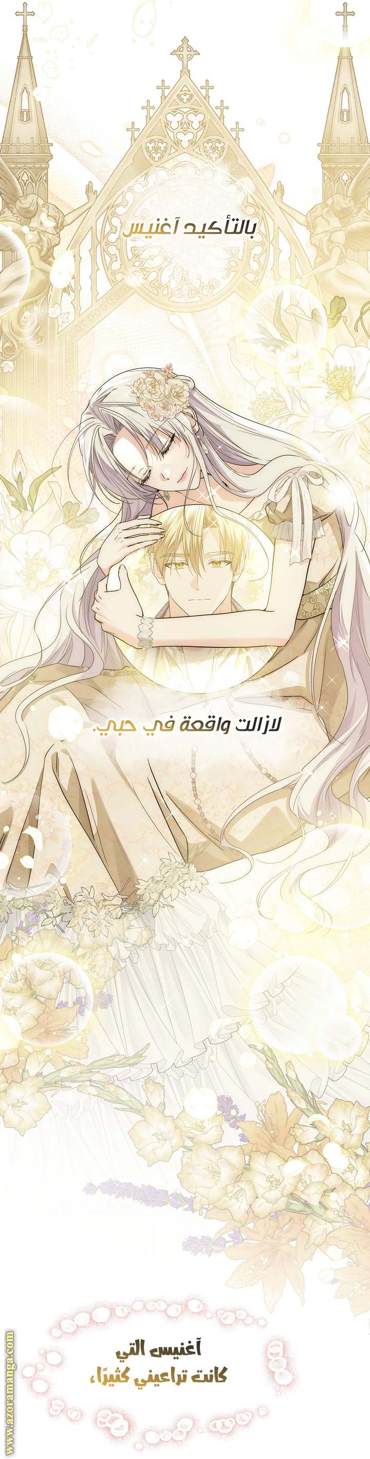 الصفحة 29