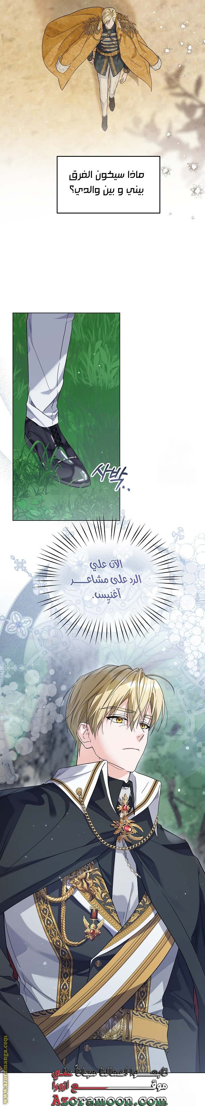 الصفحة 31