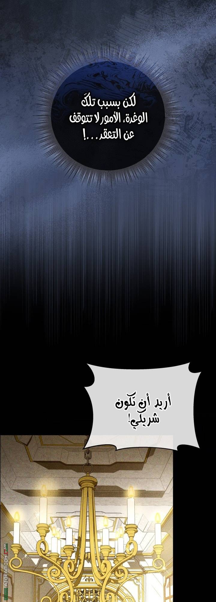 الصفحة 24