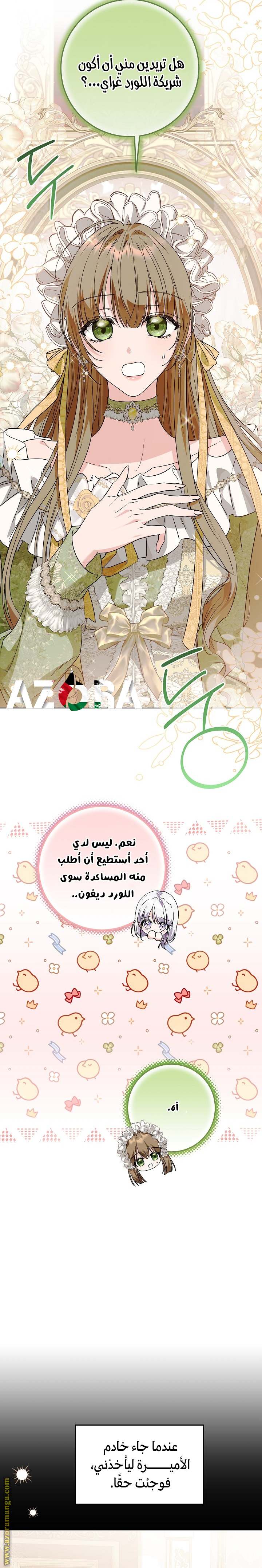 الصفحة 13