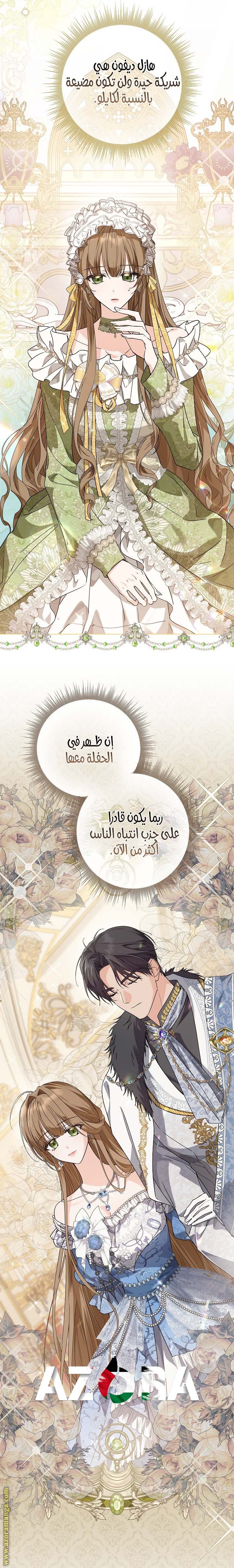 الصفحة 17