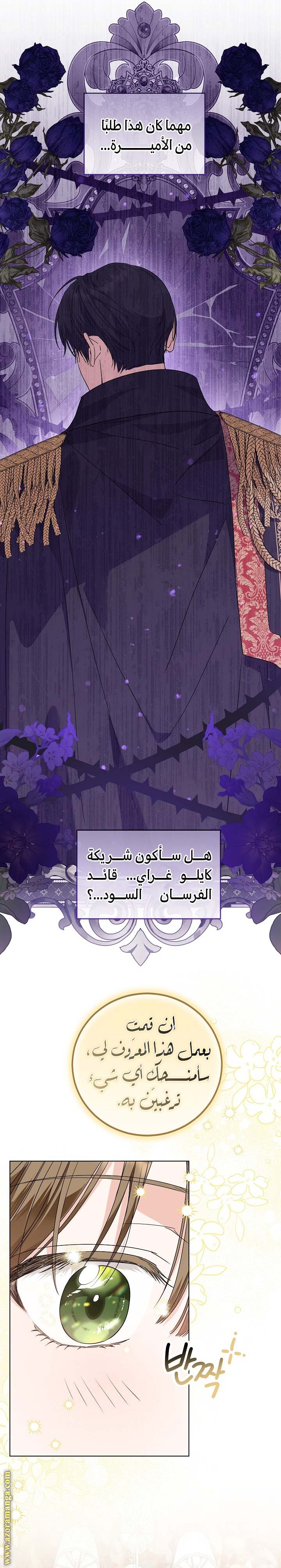 الصفحة 20