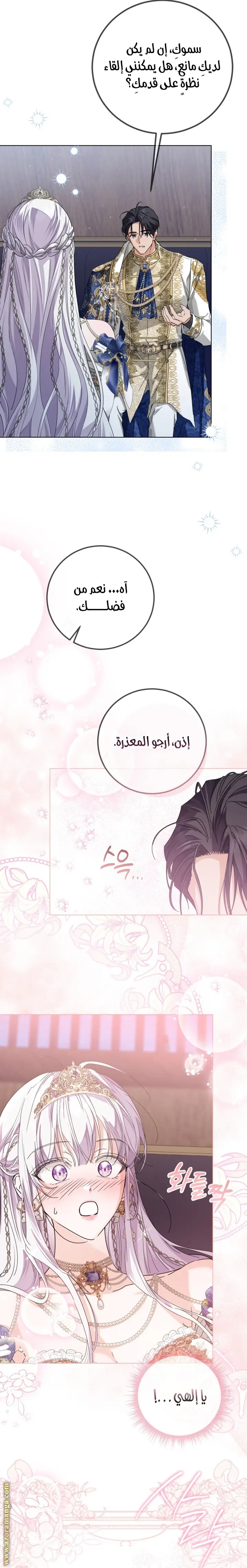 الصفحة 17
