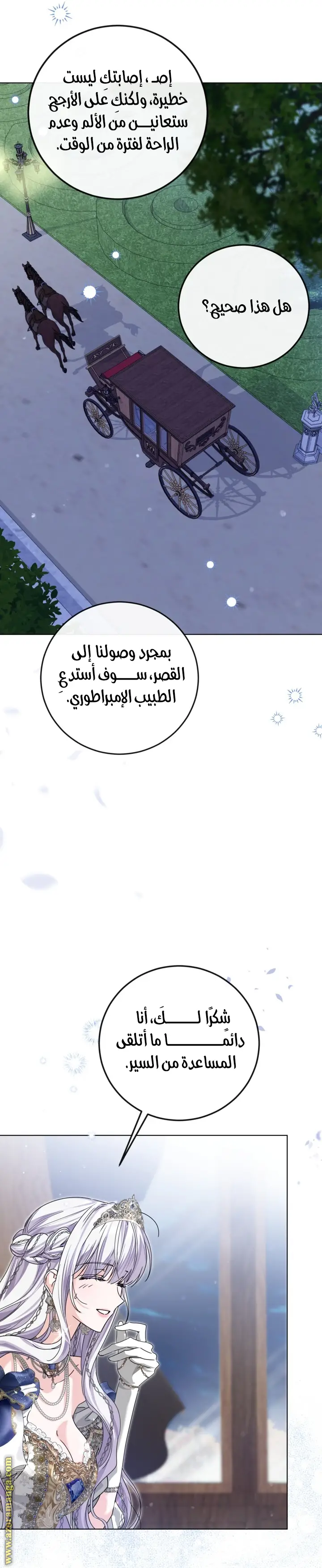 الصفحة 21