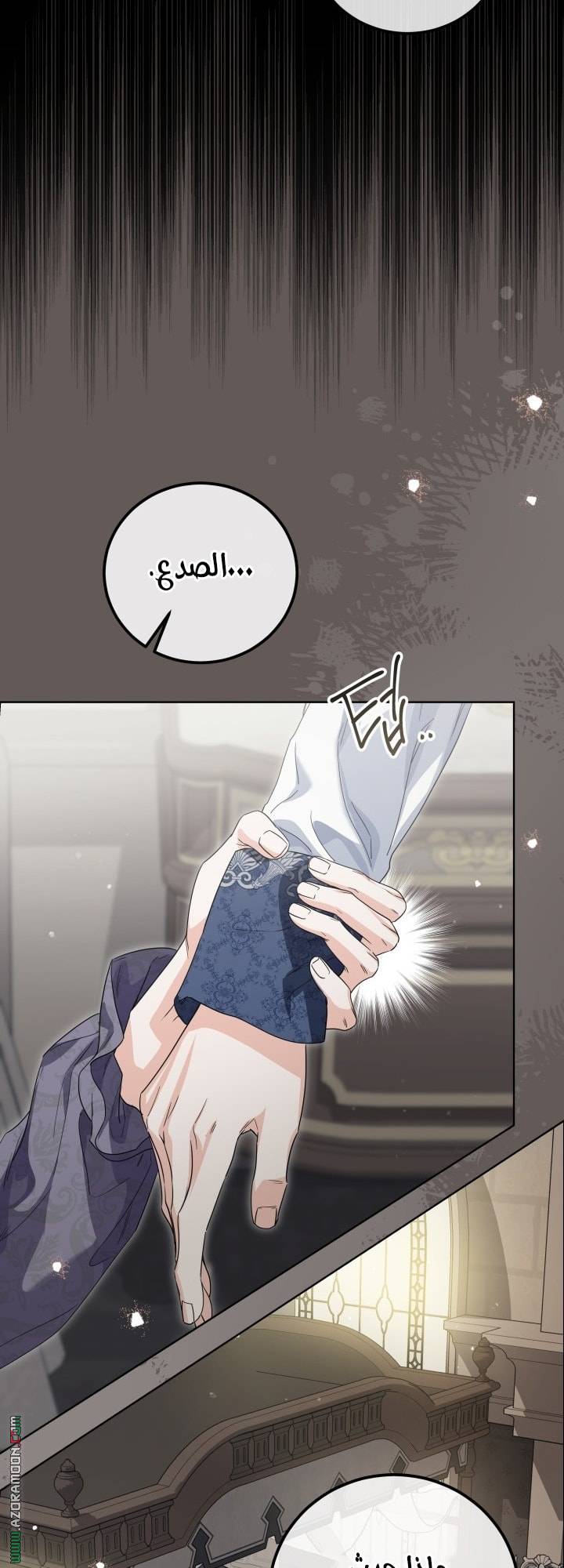 الصفحة 11