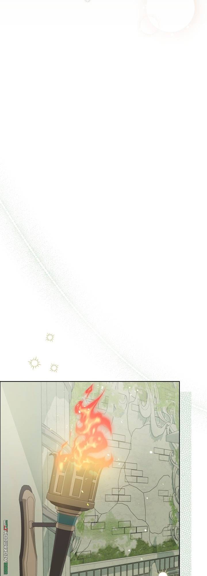 الصفحة 24