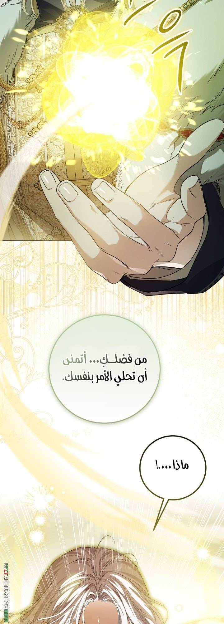 الصفحة 31