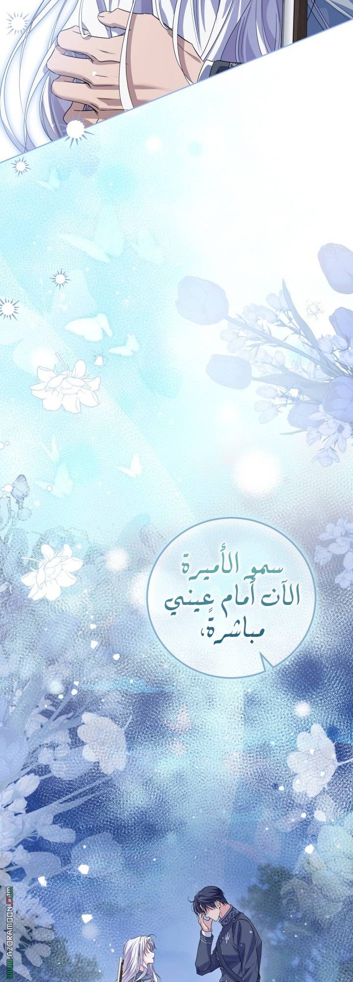 الصفحة 47