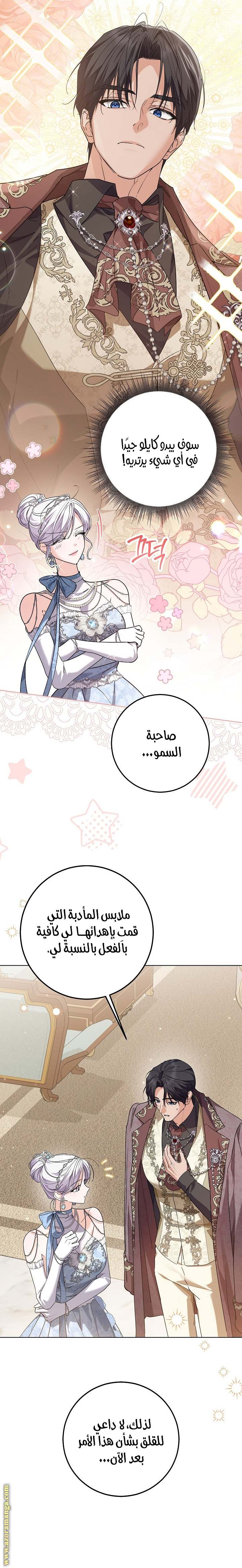 الصفحة 17