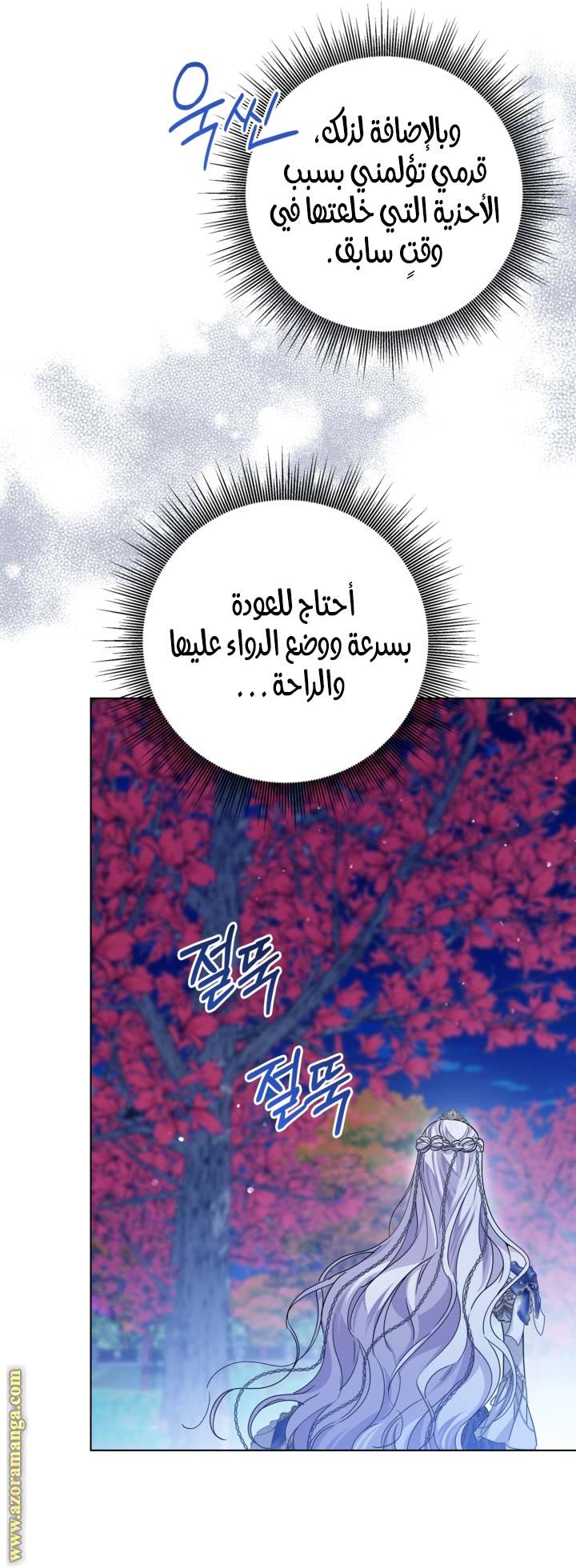 الصفحة 41