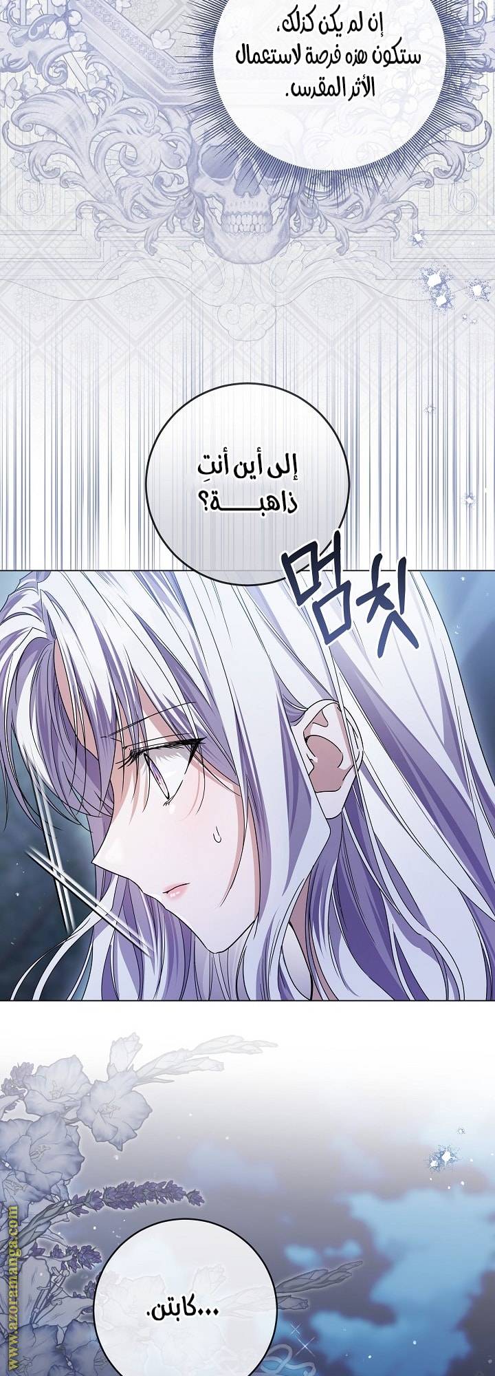 الصفحة 28