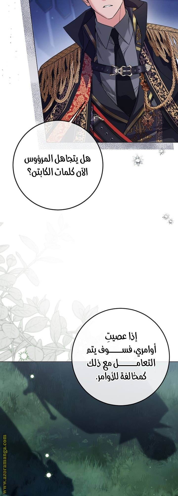 الصفحة 33