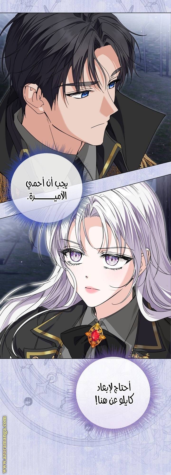 الصفحة 41