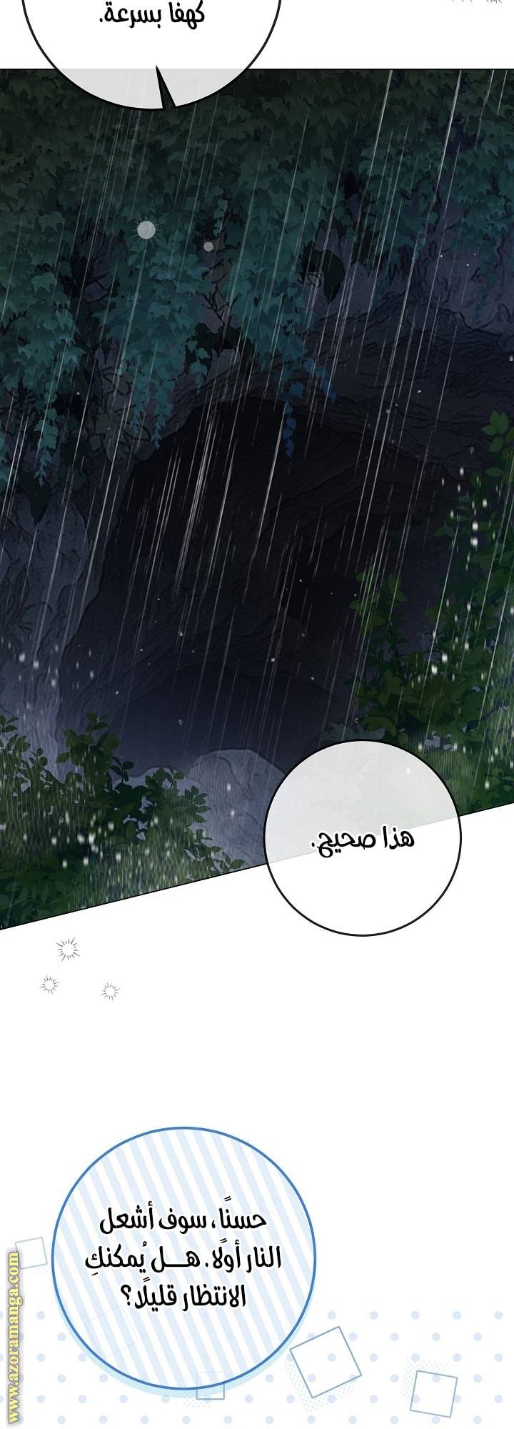 الصفحة 45