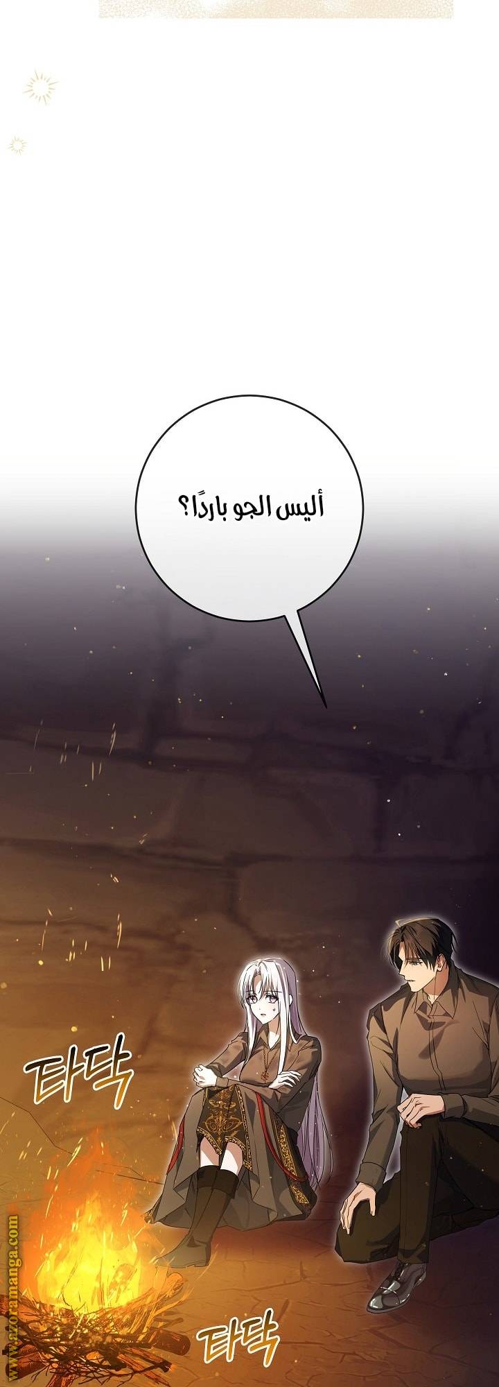 الصفحة 47