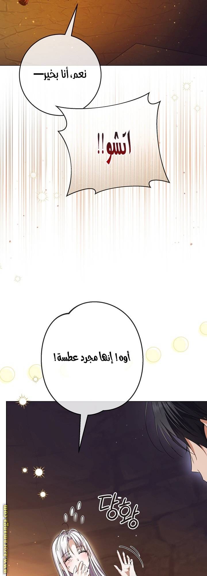 الصفحة 48