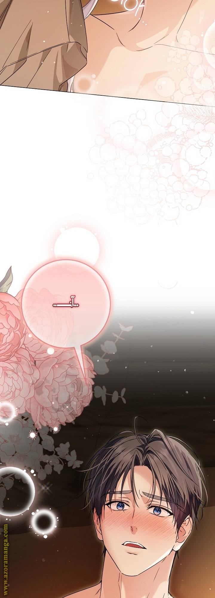 الصفحة 71