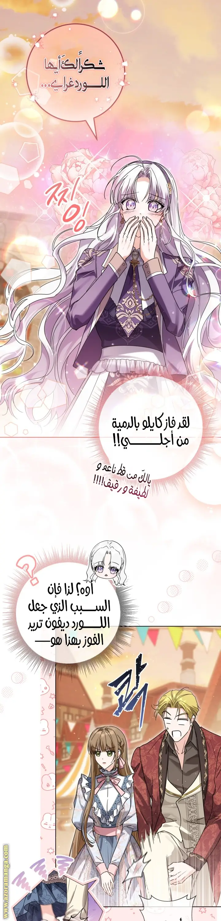 الصفحة 17