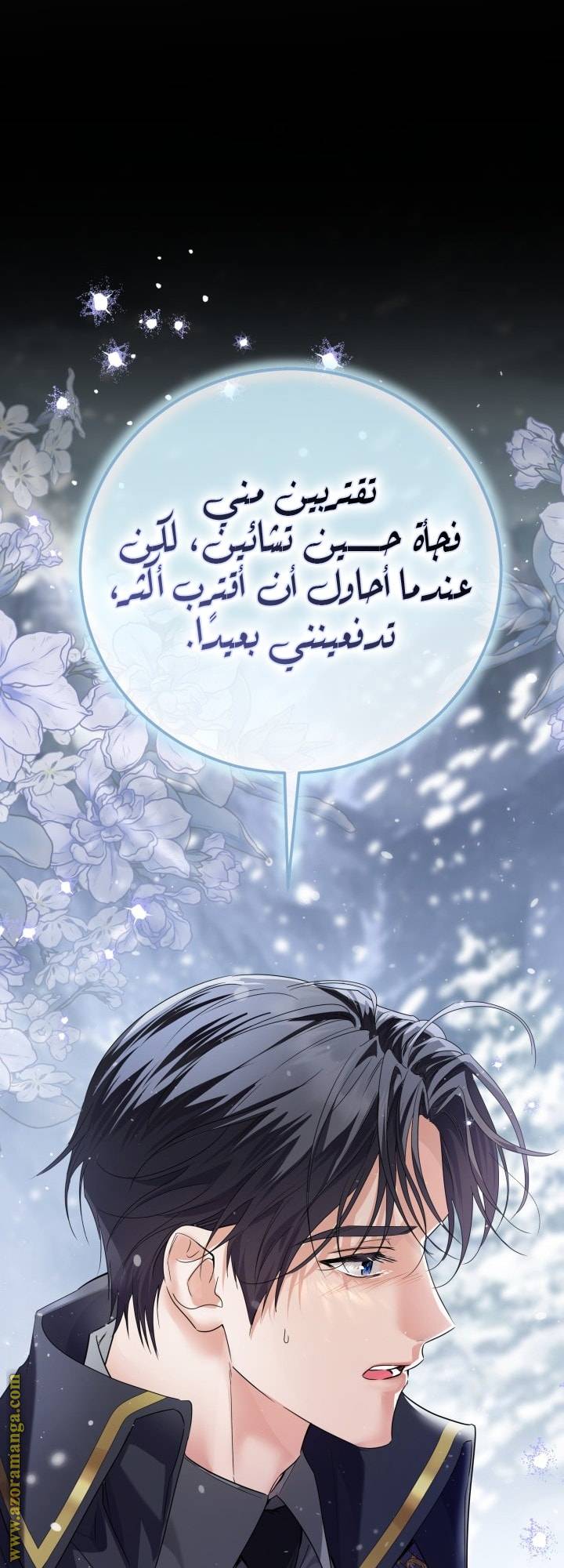 الصفحة 38