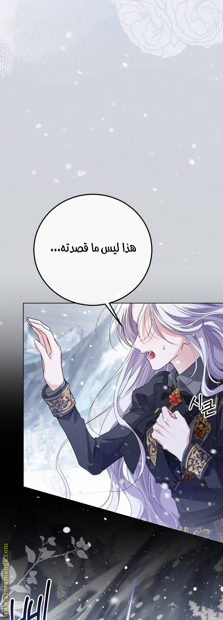 الصفحة 40