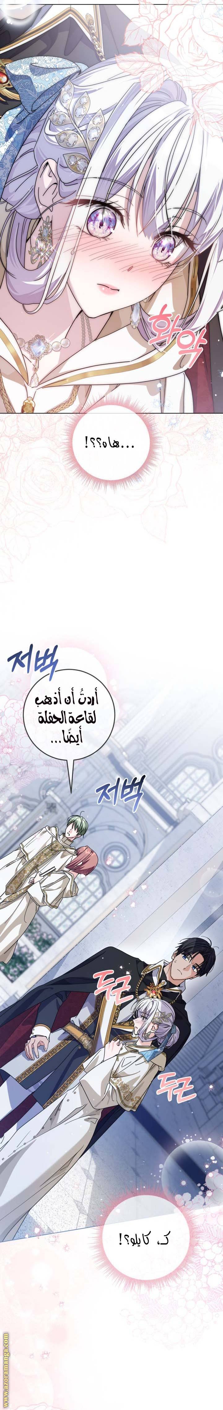 الصفحة 24